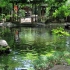 Atago Shrine Tokyo