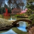 Brooklyn Botanic Garden