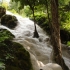 Bua Tong Waterfall