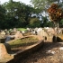 Bukit Brown Cemetery