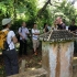 Bukit Brown Cemetery