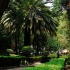 coyoacan_05