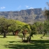 De Waal Park