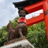 Fushimi Inari Shrine