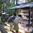 Gotoku-ji Cat Temple