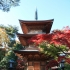 Gotoku-ji Cat Temple