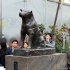 Hachiko