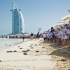 Jumeirah Turtle Rehabilitation