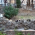 Largo di Torre Argentina