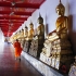 Meditate at Wat Mahathat