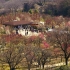 Osaka Castle Park