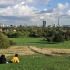 Primrose Hill