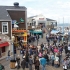 Sea Lions Pier 39