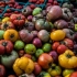 SFC Farmers Market at Republic Square Park