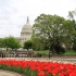 United States Capitol