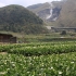 Yangmingshan National Park