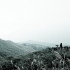 Yangmingshan National Park