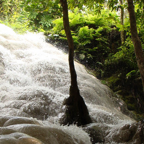 Bua Tong (Sticky) Waterfall