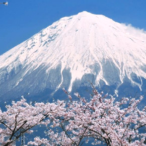 Japan Guide | Japan National Tourism Organization (JNTO)