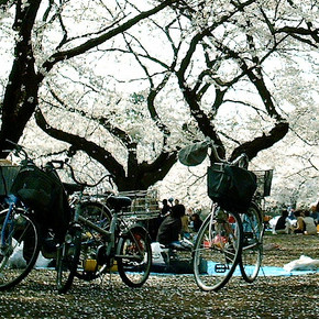 Koganei Park