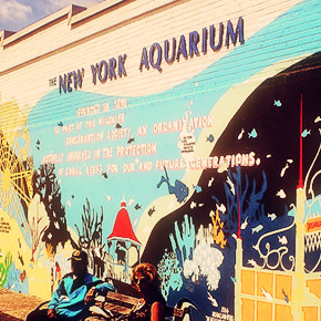 New York Aquarium