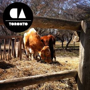 Riverdale Farm