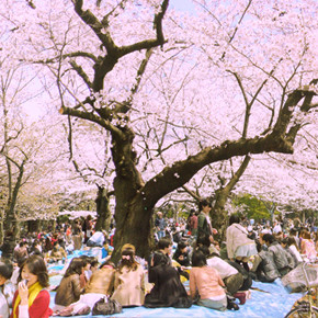 Yoyogi Park