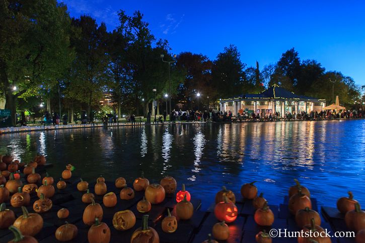 phantom of the frog pond