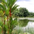 Singapore Botanic Gardens