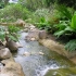 Singapore Botanic Gardens