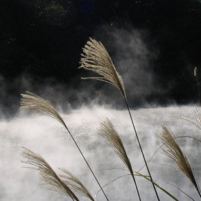 Beitou Geothermal Valley