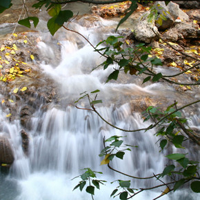 Beitou Park