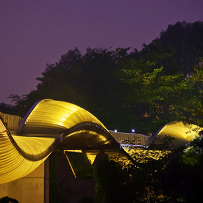 Henderson Waves Bridge