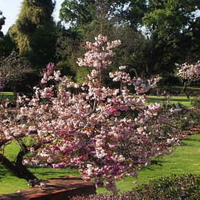 Johannesburg Botanical Garden and Emmarentia Dam