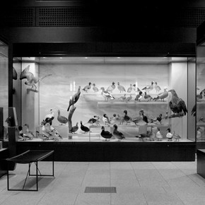Zoological Museum | University of Zurich